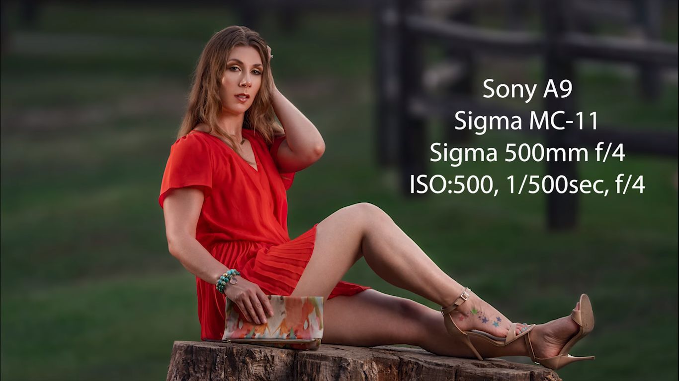 Sigma 500 mm f/4 nadaje się nie tylko do sportu. Zobacz portrety z tego szkła 4