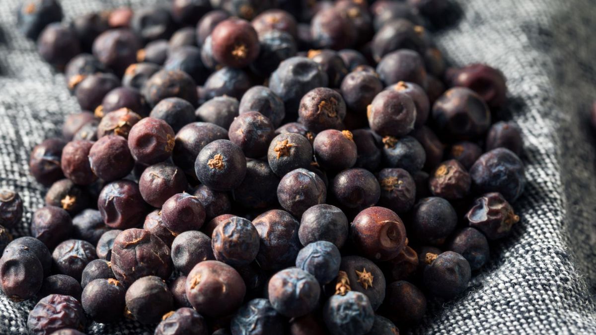 Jałowiec nie tylko poprawia smak, ale i pomaga utrzymać porządek w układzie trawiennym.