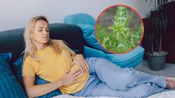 Naturalne wsparcie dla wątroby. Może pomóc po przejedzeniu