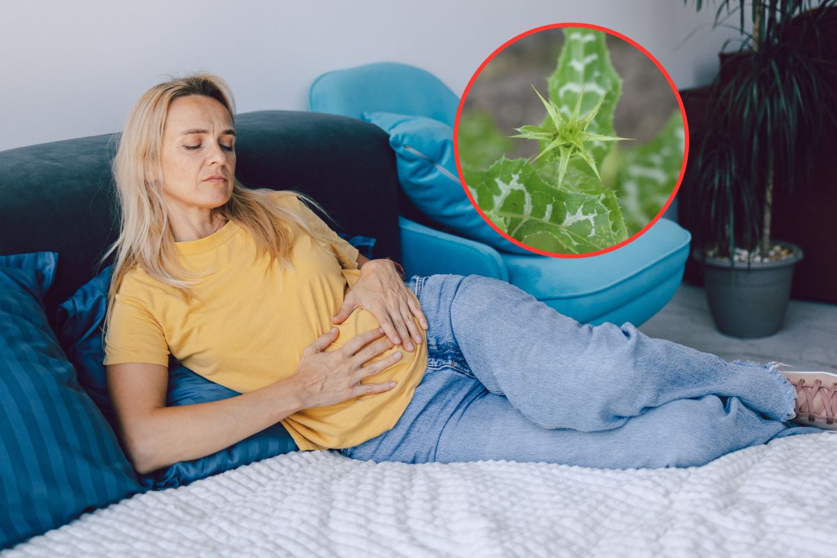 Naturalne wsparcie dla wątroby. Może pomóc po przejedzeniu