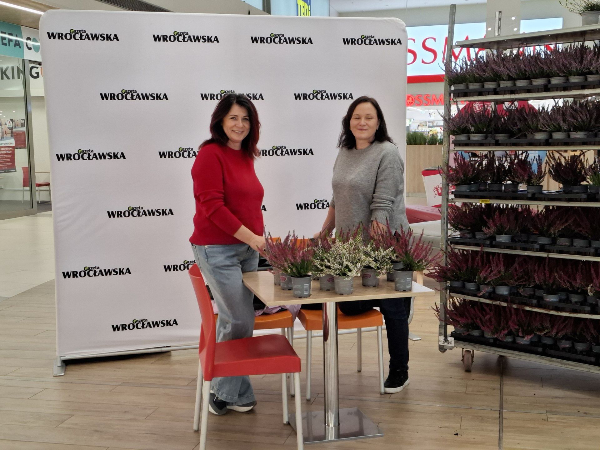 Wrzosy za elektrośmieci. CH Auchan Bielany i Gazeta Wrocławska działają na rzecz ekologii