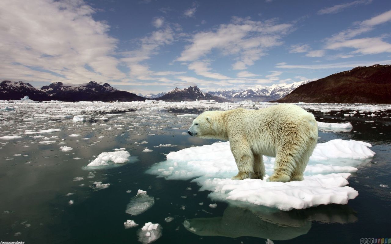 Wyzwanie #10YearsChallange rzucone Ziemi. Zmiany klimatyczne to poważna sprawa