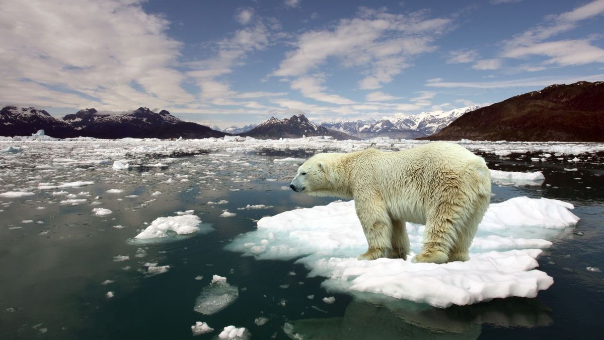 Wyzwanie #10YearsChallange rzucone Ziemi. Zmiany klimatyczne to poważna sprawa 1