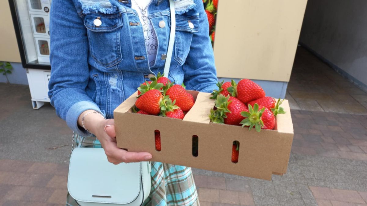 Pierwszy w Polsce truskawkomat 