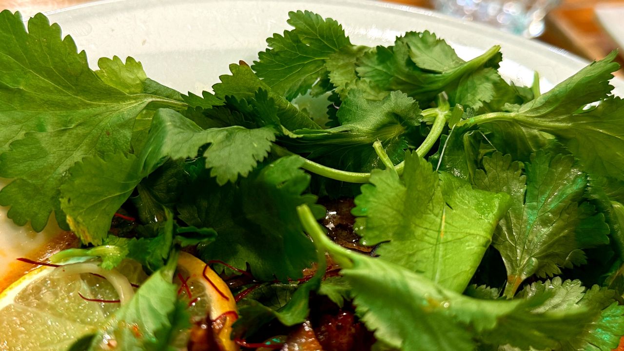 Jedni ją uwielbiają, inni mówią, że smakuje jak mydło. Skąd ta różnica?