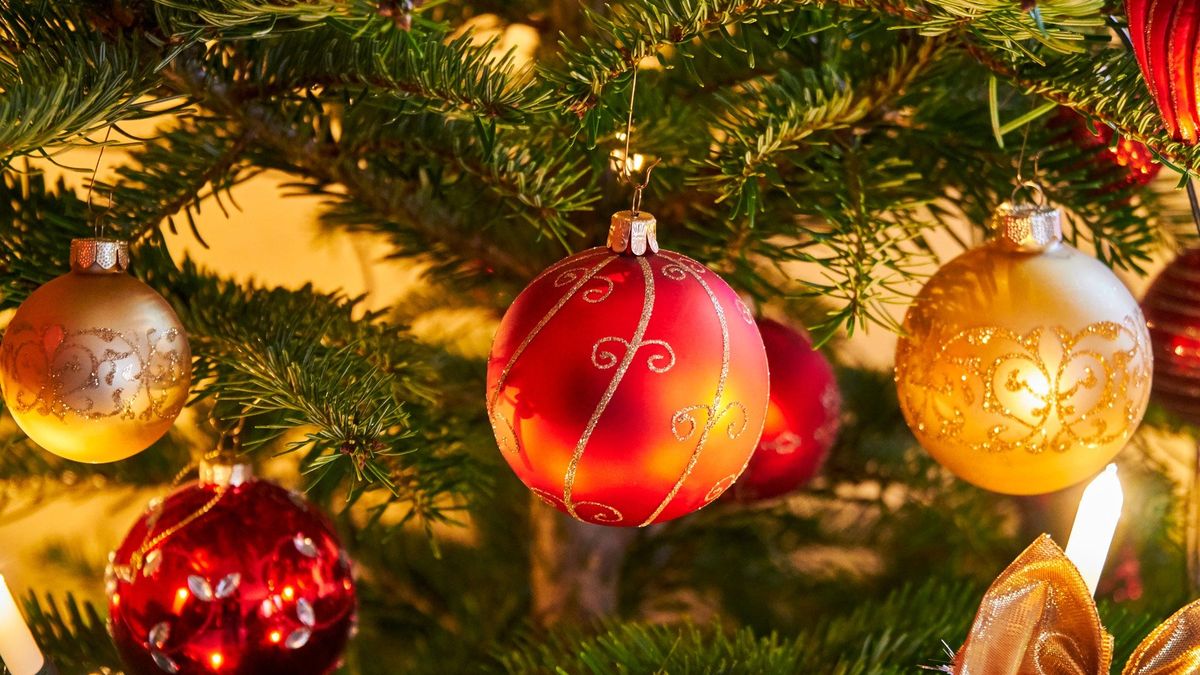 Zdjęcie ilustracyjne 