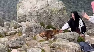 Sceny w Tatrach. Spójrzcie, co zrobiły turystki