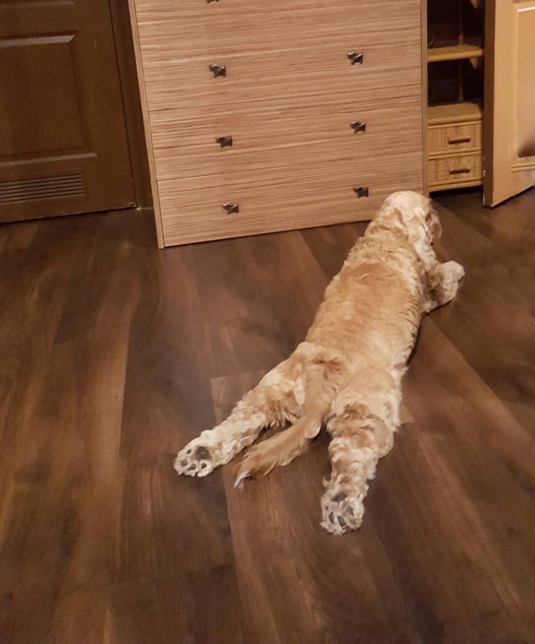 Mieszkanie Katarzyny Skrzyneckiej