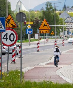 Bielsko-Biała. Wyniki ankiety jednoznaczne. Mieszkańcy chcą więcej ścieżek rowerowych