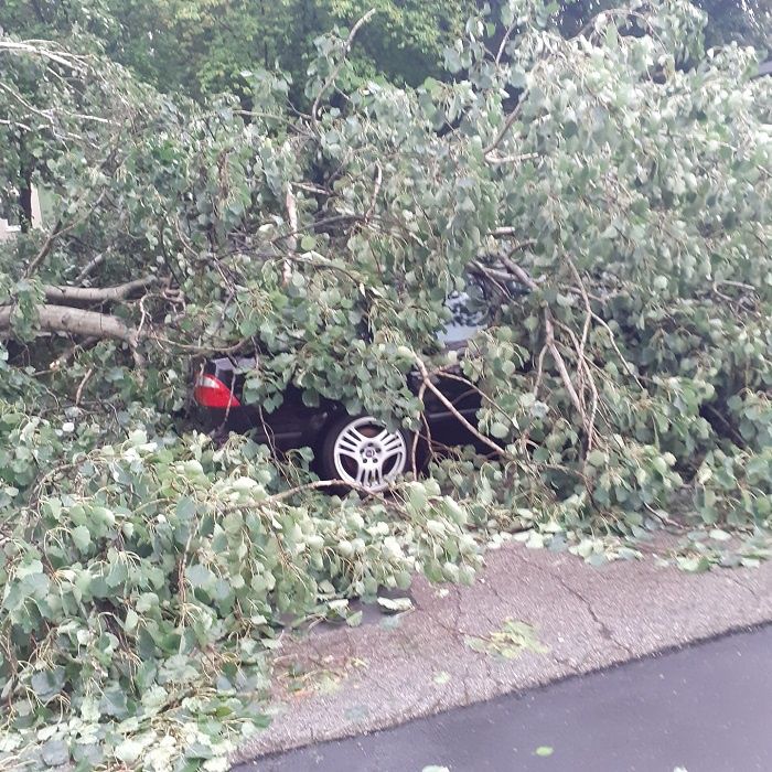 Samochód pod drzewem na ul. Szmaragdowej