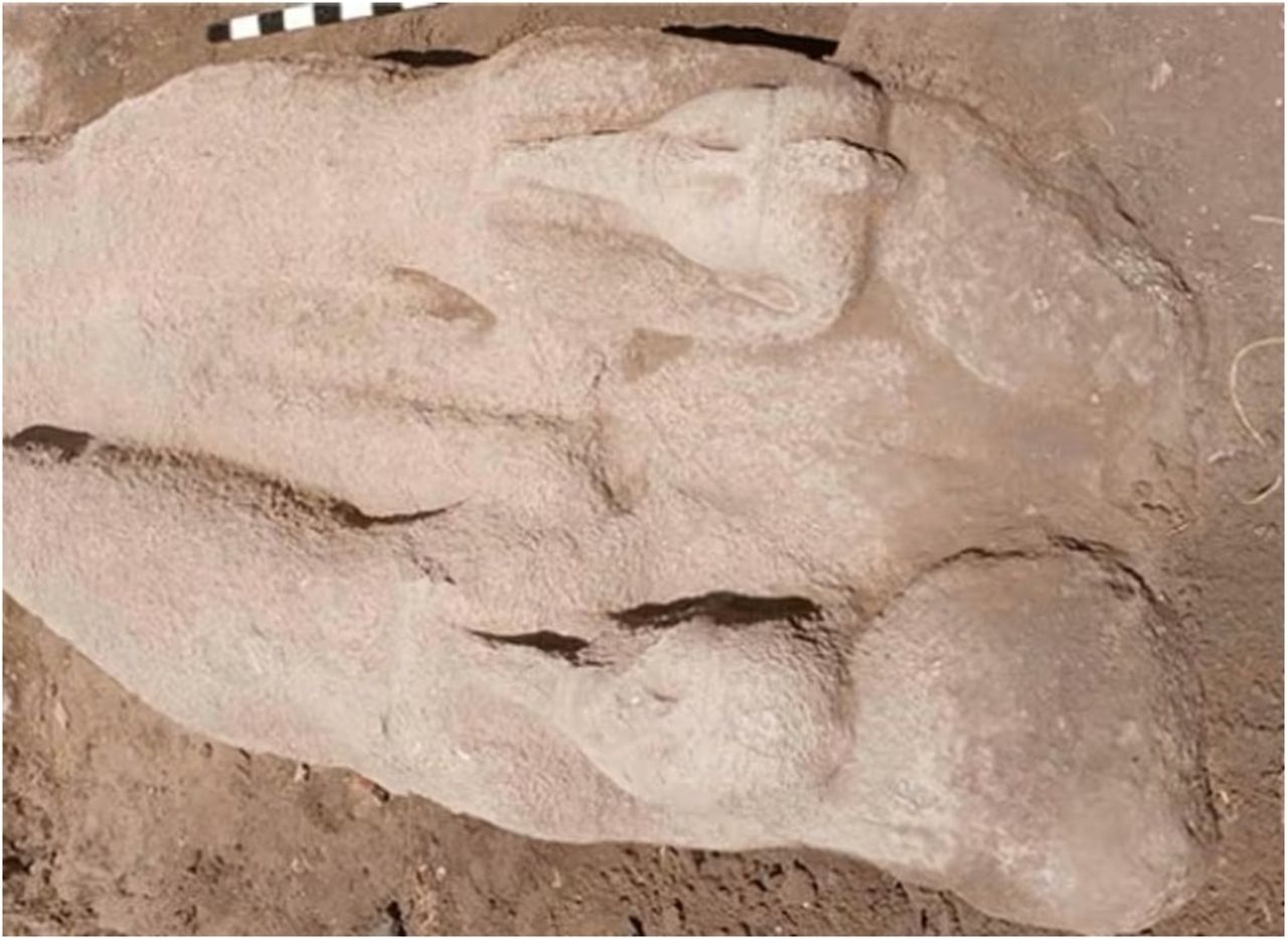 Cenne znalezisko w Egipcie. Rzuci nowe światło na wydarzenia z Biblii?