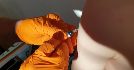 Wielka Brytania: Wykryto nowy wariant wirusa "małpiej ospy". Specjaliści nawołują do szczepień