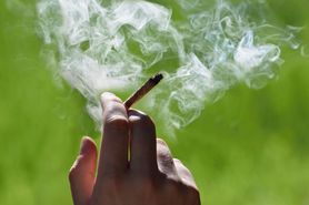 Naukowcy opracowali "alkomat" sprawdzający, czy ktoś palił marihuanę
