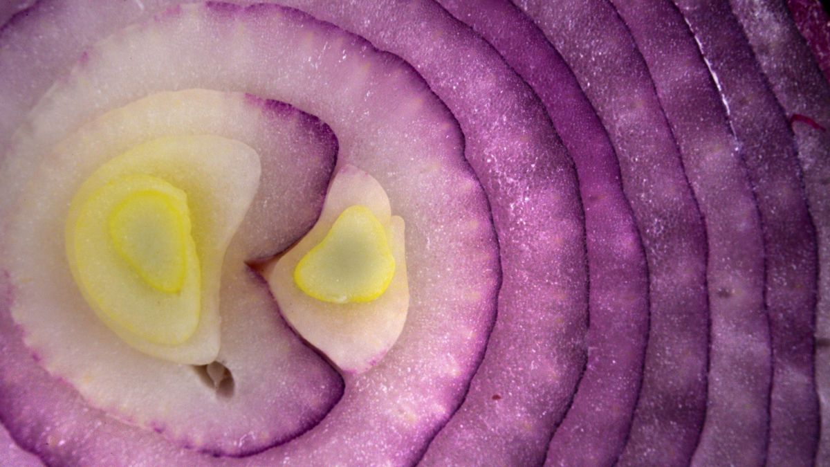 Osoby mające problemy z wątrobą powinny zrezygnować z jedzenia cebuli