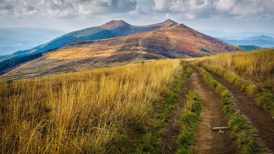 Bieszczady to idealne miejsce dla miłośników natury