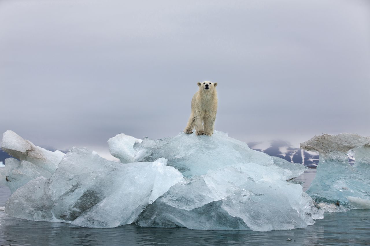 Globalne temperatury będą osiągały 1 stopień wzrostu w najbliższych 5 latach