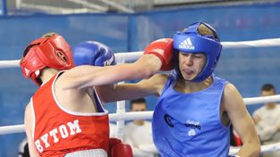 Bytom: Odbędą się mistrzostwa Śląska w boksie. Wystąpi w nich kilkuset pięściarzy i pięściarek