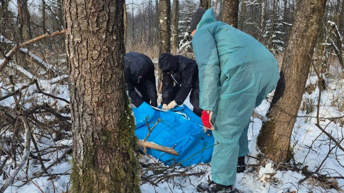 ASF na Podlasiu. Pilny komunikat leśników