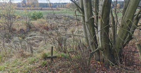 Szczątki niemieckiego żołnierza. Odkrycie archeologów w województwie lubuskim