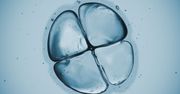 Mrożenie komórek jajowych szansą na przedłużenie płodności?