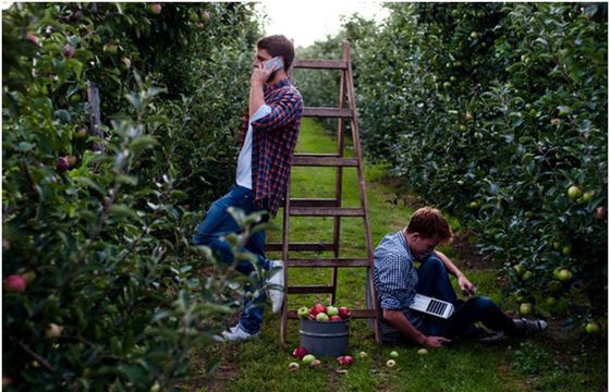Bracia Sadownicy nową polską marką na rynku soków i owoców