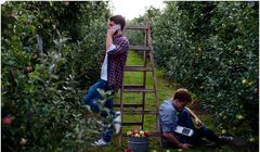 Bracia Sadownicy nową polską marką na rynku soków i owoców