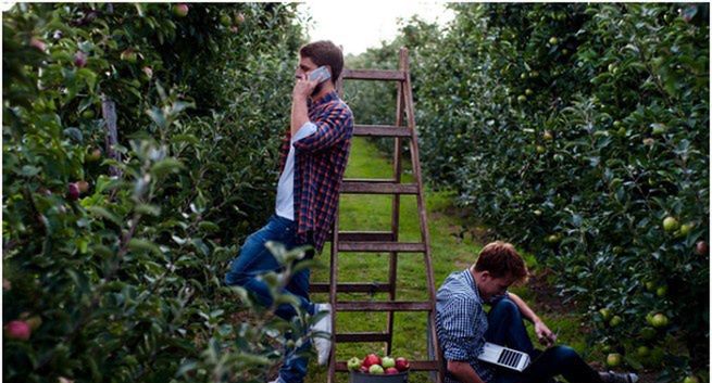 Bracia Sadownicy nową polską marką na rynku soków i owoców