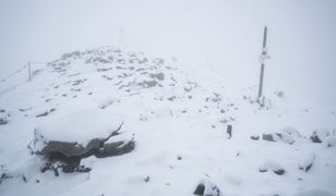 Tatry pod śniegiem. Pogoda sprowadziła zimę na Kasprowy Wierch