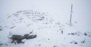 Tatry pod śniegiem. Pogoda sprowadziła zimę na Kasprowy Wierch