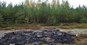 Nadleśnictwo Sieraków. Las zaśmiecony częściami od aut. "Debilizm nie zna granic"
