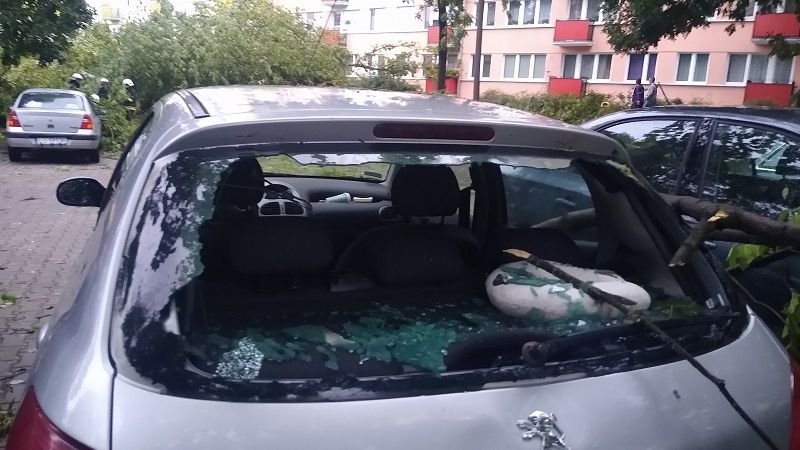 Zbita szyba w peugeocie przez gałąź na ul. Braci Wieniawskich