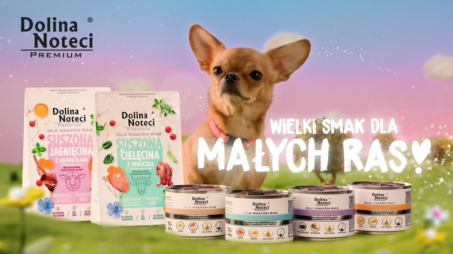 Dolina Noteci promuje karmę dla małych psów
