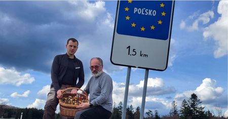 Są już w lasach. Ekspert mówi o anomalii. "Raz na 4-5 lat"