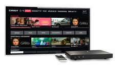 Canal+ przeprasza za wadliwe oprogramowanie dekoderów. „Poprawka w lipcu”