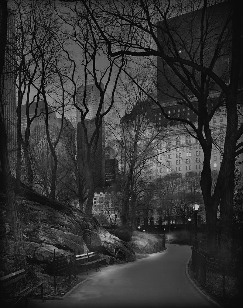 Zobacz opustoszały nowojorski Central Park w projekcie „Deep In a Dream" 8