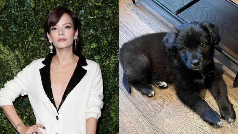 Lily Allen pozbyła się psa, którego adoptowała w czasie pandemii