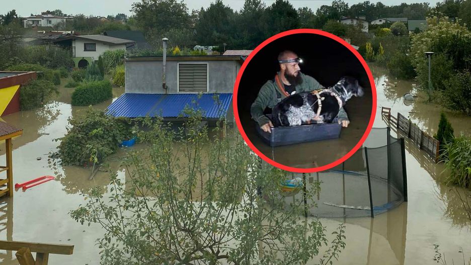 Właściciel zostawił Oreo na łańcuchu