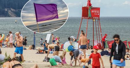 Nie tylko biała i czerwona. Co oznaczają inne kolory flag na plażach?