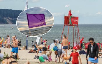 Nie tylko biała i czerwona. Co oznaczają inne kolory flag na plażach?