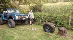 Ryzykowny pomysł domorosłego ogrodnika. Nie rób tego u siebie w ogrodzie