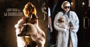 PETA ATAKUJE Lady Gagę!