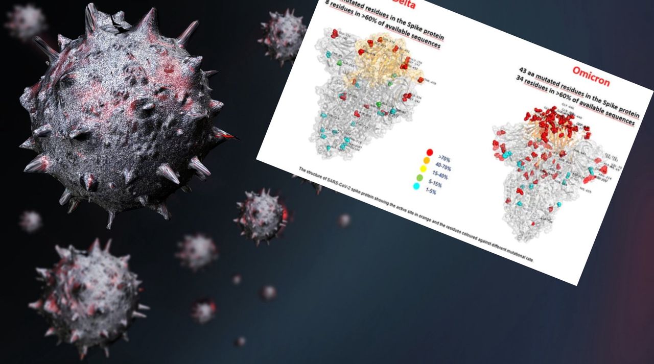 Wariant Omikron. Jest pierwsze zdjęcie 