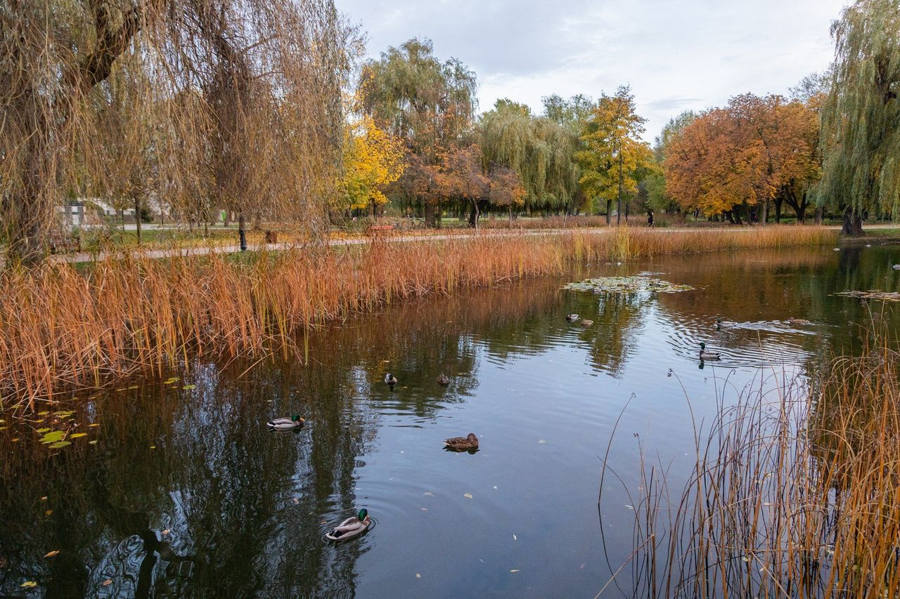Mgła spowija Polskę, a kolejnej nocy może być jeszcze gorzej