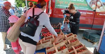 Piątkowy targ w Stalowej Woli. Królują truskawki, coraz więcej czereśni i pomidorów