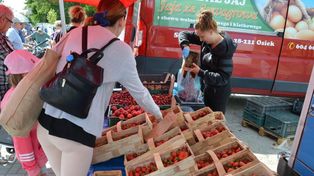 Piątkowy targ w Stalowej Woli. Królują truskawki, coraz więcej czereśni i pomidorów