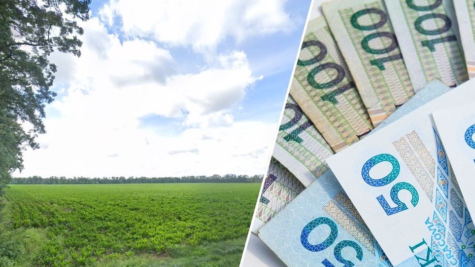 Grunty rolne z KOWR w Wielkopolsce Do wzięcia od 10 do 63 ha