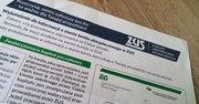 ZUS uprości język w formularzach. Rusza pilotażowy program