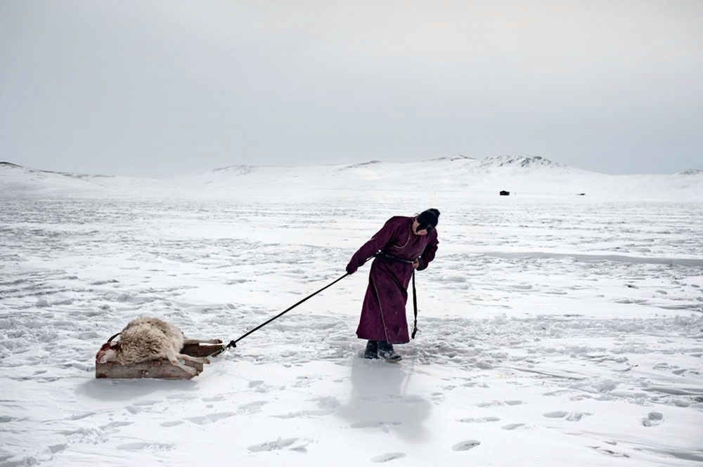 Polacy w finale Sony World Photography Awards 2012! [galeria] 30