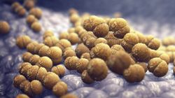 Rifampicyna - działanie, wskazania, dawkowanie i przeciwwskazania