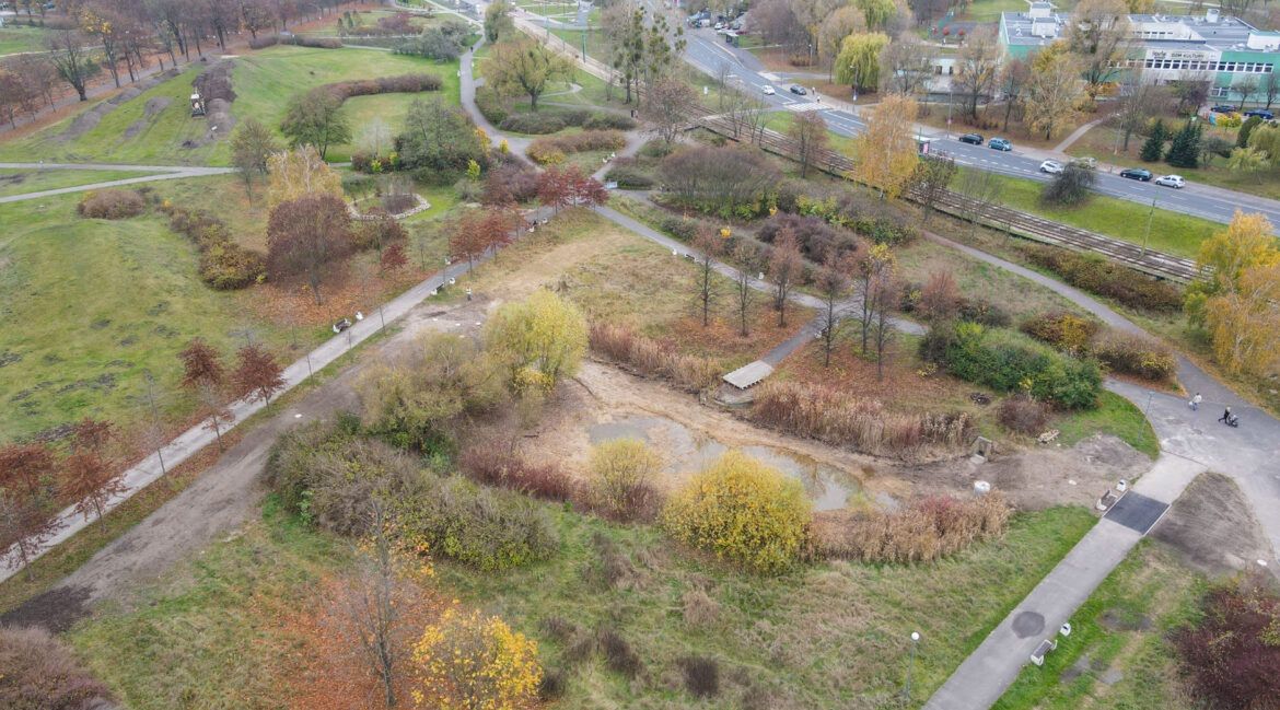 Poznań wymieni oświetlenie. Z myślą o traszkach